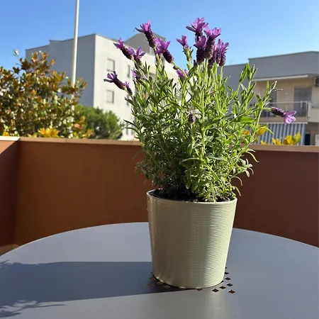 Dimora Glamour * Monopoli